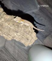 Bild 8/8