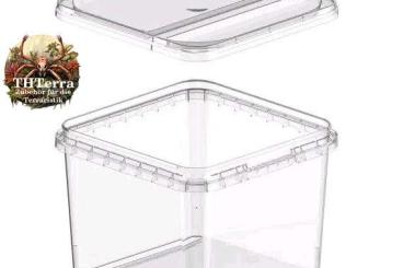 Spiders and Scorpions kaufen und verkaufen Photo:  360ml Aufzuchtbox mit Klappdeckel