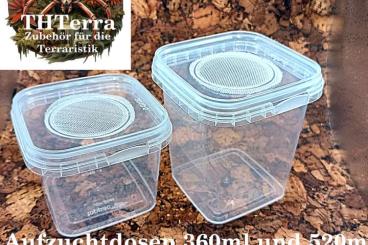 Spiders and Scorpions kaufen und verkaufen Photo: Belüftete Aufzuchtdosen quadratisch Spiders and Scorpions kaufen und verkaufen Photo: Belüftete Aufzuchtdosen quadratisch