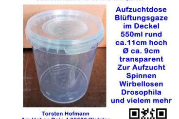 Vogelspinnen kaufen und verkaufen Foto: 550ml Aufzuchtdose rund mit Gaze im Deckel Vogelspinnen kaufen und verkaufen Foto: 550ml Aufzuchtdose rund mit Gaze im Deckel
