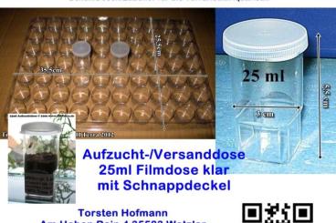Spiders and Scorpions kaufen und verkaufen Photo: 25ml Aufzuchtdosen Slingdosen "Filmdosen" Spiders and Scorpions kaufen und verkaufen Photo: 25ml Aufzuchtdosen Slingdosen "Filmdosen"
