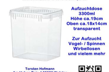 Supplies kaufen und verkaufen Photo: Rechteckige Aufzuchtdosen mit und ohne Belüftungs-Gaze im Deckel Supplies kaufen und verkaufen Photo: Rechteckige Aufzuchtdosen mit und ohne Belüftungs-Gaze im Deckel