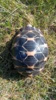 Bild 7/8