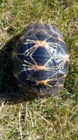Bild 6/8