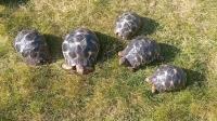 Bild 8/8