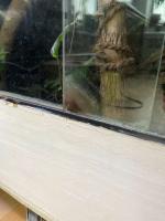 Bild 10/13