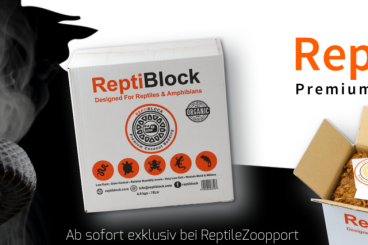 Zubehör kaufen und verkaufen Foto:  !!! Angebot - ReptiBlock etc. - 25% OFF !!!