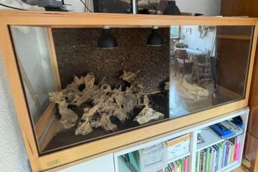 Enclosures kaufen und verkaufen Photo: DesignerTerrarium von TerraWorx Enclosures kaufen und verkaufen Photo: DesignerTerrarium von TerraWorx