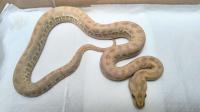 Bild 7/8