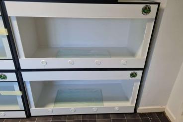 Enclosures kaufen und verkaufen Photo:  -20% auf alle Kunststoff Terrarien und Terrarium Racks 