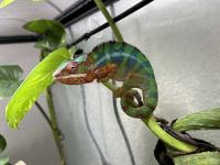 Bild 7/7