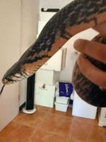 Bild 8/8