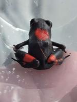 Bild 7/7