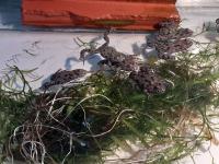 Bild 8/8