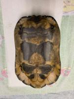 Bild 8/8