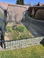 Bild 6/8