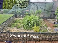 Bild 18/21