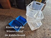 Bild 2/21