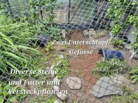 Bild 13/21