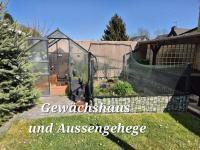 Bild 17/21