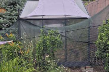 Tortoises kaufen und verkaufen Photo: Gewächshaus Vitavia mit Lampen Tortoises kaufen und verkaufen Photo: Gewächshaus Vitavia mit Lampen