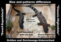 Bild 5/5