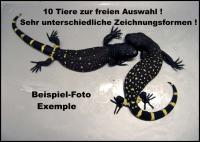 Bild 2/5