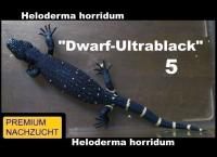 Bild 2/10