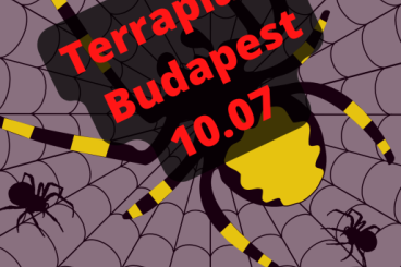 Spinnen und Skorpione kaufen und verkaufen Foto: NEW OFFER! HUNGARY-TERRAPLAZA 10.07 spiders delivery DOOR-TO-DOOR!