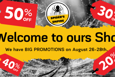 Spinnen und Skorpione kaufen und verkaufen Foto: SPIDER'S EMPIRE - WEB SHOP STARTUP! HAMM 19.09 - HUGE DISCOUNTS -50% 