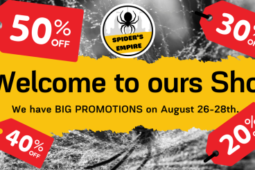 Spiders and Scorpions kaufen und verkaufen Photo: SPIDER'S EMPIRE - WEB SHOP STARTUP! HAMM 19.09 - HUGE DISCOUNTS -50% 