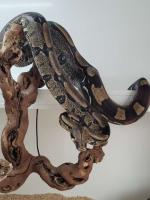Bild 7/7