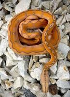 Bild 8/8