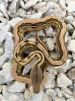 Bild 7/8