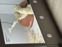 Bild 8/8