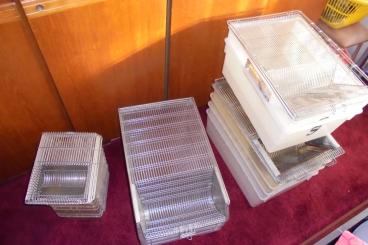 Supplies kaufen und verkaufen Photo: Diverse Makrolonenboxen T4 u. T2 in Berlin, 60 €, nur Abholung
