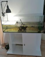 Bild 3/6