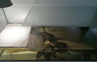 Bild 5/6