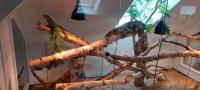 Bild 7/8