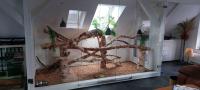 Bild 5/8