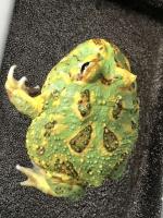 Bild 7/8