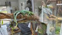 Bild 3/8