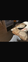 Bild 6/16