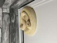 Bild 8/8