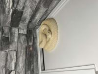 Bild 7/8
