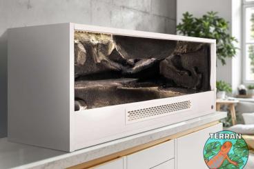 Enclosures kaufen und verkaufen Photo: Professional reptile terrariums Enclosures kaufen und verkaufen Photo: Professional reptile terrariums