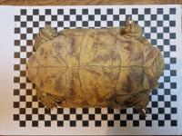 Bild 8/8