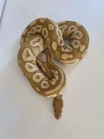 Bild 9/12