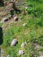 Bild 3/6