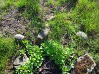 Bild 5/6